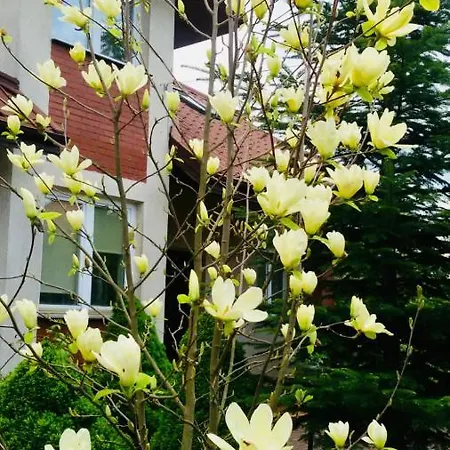 Domowe Zalesie Kwatera prywatna Piaseczno (Masovia)